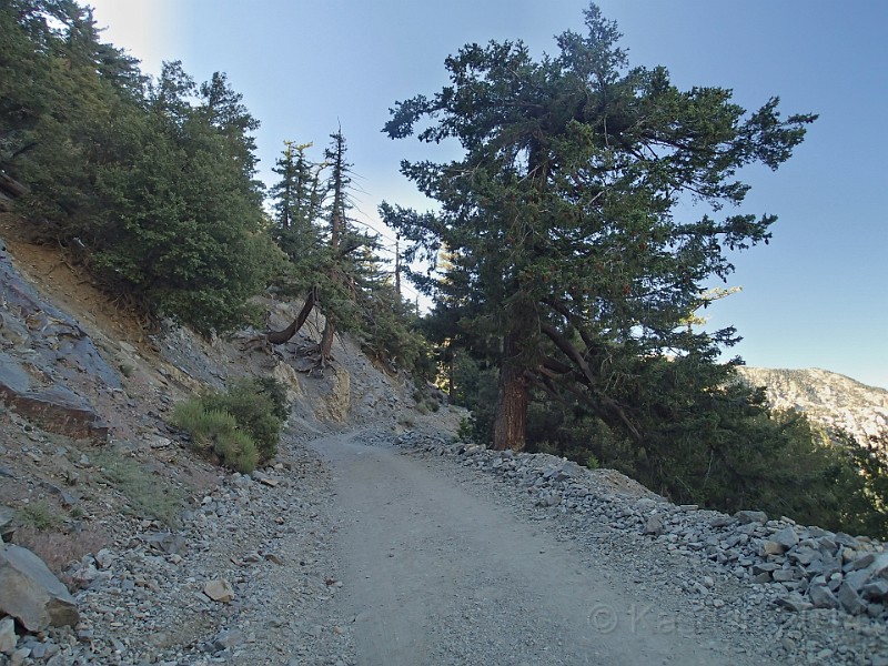 2014 Mt Baldy Cali 032.JPG - Summit Mt San Antonio (Mt Baldy) California